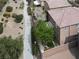 A nice backyard view showcasing a walking path, trees, plants, and the brick wall of the house for added privacy at 4036 W Bird Man Ln, North Las Vegas, NV 89084