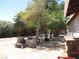 Image of backyard featuring a sandy area with trees and shrubbery with items strewn about at 4950 Burnham Ave, Las Vegas, NV 89119
