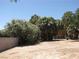 Backyard featuring a mix of lush trees and greenery, creating a private outdoor space at 4950 Burnham Ave, Las Vegas, NV 89119