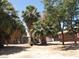 Image of backyard featuring a sandy area with palm trees and shrubbery with items strewn about at 4950 Burnham Ave, Las Vegas, NV 89119