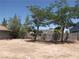 Spacious backyard featuring mature trees and a concrete block fence, perfect for outdoor activities at 4950 Burnham Ave, Las Vegas, NV 89119