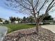 Neighborhood park with green grass, trees, and walking paths at 6459 Rusticated Stone Ave # 103, Henderson, NV 89011