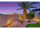 Lush backyard landscaping features a towering palm tree and scenic desert mountain views at 11334 Patores St, Las Vegas, NV 89141