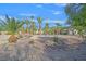 A desert landscaped yard in the backyard featuring palm trees and drought-resistant plants at 328 Hedgehope Dr, Las Vegas, NV 89183