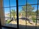Exterior view through multi-pane windows of palm trees and greenery lining a quiet residential street at 3508 Harbor Tides St, Las Vegas, NV 89147