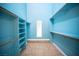 Walk-in closet with blue walls and carpeted floors at 3790 W Moberly Ave, Las Vegas, NV 89139