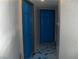 Hallway with two blue interior doors and gray walls with blue splatter design at 5068 Killarney St, Las Vegas, NV 89122