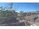 Scenic neighborhood view featuring houses, trees, and mountains on the horizon at 648 Jumbled Sage Ct, Henderson, NV 89015