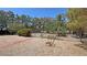 Private backyard featuring mature trees, desert landscaping, and ample space for outdoor activities at 710 Tomahawk Ct, Pahrump, NV 89060