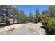 Large backyard with desert landscaping, mature trees, and rock accents, creating a peaceful retreat at 710 Tomahawk Ct, Pahrump, NV 89060