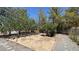 Desert landscaped backyard with mature trees, offering a serene and natural setting at 710 Tomahawk Ct, Pahrump, NV 89060
