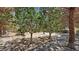 Spacious backyard with mature trees and desert landscaping provides a serene and shaded outdoor area at 710 Tomahawk Ct, Pahrump, NV 89060