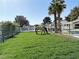 Spacious grass yard with a horse grazing, palm trees, and a charming white fence at 7675 Butterscotch Ct, Las Vegas, NV 89131