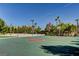Outdoor basketball court with palm trees and water park views, perfect for sports and recreation at 907 Gallery Course Dr, Las Vegas, NV 89148