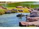 Scenic pond with lush greenery and a tranquil setting, enhancing the natural beauty of the community at 907 Gallery Course Dr, Las Vegas, NV 89148