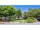 Inviting community park featuring sprawling green spaces, towering trees, and community benches at 9155 Harvest Homes St, Las Vegas, NV 89123
