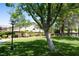 Serene community park with mature trees, grass, bench, and manicured landscaping at 9155 Harvest Homes St, Las Vegas, NV 89123