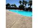 A community pool sparkles in the sun surrounded by mature palm trees and ample seating space at 2509 April Breeze Ln, Henderson, NV 89002