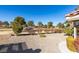 Well-manicured backyard featuring desert landscaping, mature trees, and golf course views on a sunny day at 2905 Legend Dr, Las Vegas, NV 89134