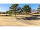 Picturesque view of the golf course with trees and a mountain backdrop at 2905 Legend Dr, Las Vegas, NV 89134
