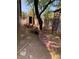 Landscaped backyard features a shed, rock gardens, mature trees and shrubbery, and block wall at 6704 Lost River Ct, Las Vegas, NV 89108