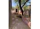 Landscaped backyard features a shed, rock gardens, mature trees and shrubbery, and block wall at 6704 Lost River Ct, Las Vegas, NV 89108