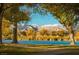 Scenic lake view with mountains in the background framed by mature trees at 8221 Ebony Peak St, Las Vegas, NV 89143