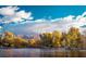 Scenic lake view with mountains in the background and trees along the shoreline at 8221 Ebony Peak St, Las Vegas, NV 89143