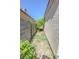 Narrow side yard alongside house with block fence and minimal foliage at 1349 Goldenglow Rd, Las Vegas, NV 89108