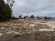 Expansive lot with mature trees, and room to build a new home to suit your needs at 2451 E Falcon St, Pahrump, NV 89048