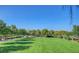 Expansive green space perfect for recreational activities and enjoying the outdoors at 2787 Donatello Manor Pl, Henderson, NV 89044