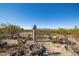 Desert landscape with cactus and small birdhouse on a sunny day at 5950 Mojave St, Pahrump, NV 89061