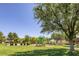 Vibrant community park featuring a playground, and mature landscaping at 7849 Meandering Light Ave, Las Vegas, NV 89131