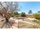 Backyard featuring desert landscaping with mature trees and shrubs at 120 W Highland Dr, Henderson, NV 89015