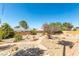 Expansive backyard featuring decorative rock, mature trees, and a paved walkway at 120 W Highland Dr, Henderson, NV 89015