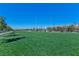 Expansive green space surrounded by trees, streetlights, and residences offering a serene neighborhood ambiance at 1904 Via Firenze, Henderson, NV 89044