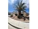 A single story home with desert landscaping features a mature palm tree in the front yard at 3108 Sentimental Ct, North Las Vegas, NV 89031