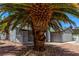 Exterior of home with gravel landscaping and shade from a large palm tree at 3158 Brockington Dr, Las Vegas, NV 89120