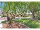 Lush green space with mature trees, picnic tables, and walking paths, perfect for relaxation at 6559 Tumbleweed Ridge Ln # 103, Henderson, NV 89011