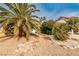 A charming house with beautiful palm trees in the front yard at 9514 Teton Vista Ave, Las Vegas, NV 89117