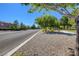 Beautiful street with manicured gravel areas, trees, sidewalks, and lush lawns at 1013 Brinkman St, Las Vegas, NV 89138
