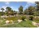 Lush community pond surrounded by large trees, rocks, and mature green plants at 112 Quail Run Rd, Henderson, NV 89014