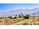 Picturesque view of desert landscape, mountains, and palm trees in distance at 1523 Great Sands St, Boulder City, NV 89005