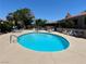 Enjoy the community pool with lounge chairs surrounded by lush landscaping at 1866 Camino Verde Ln, Las Vegas, NV 89119