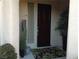 Inviting entryway featuring a dark wood door, decorative plants, and a stylish welcome mat at 35 Emerald Dunes Cir, Henderson, NV 89052