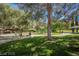 Scenic park view with mature trees, walking paths, a playground, and a picnic shelter in a serene community setting at 764 Ricota Ct, Henderson, NV 89012