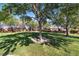 Expansive backyard with mature trees providing ample shade and privacy for outdoor enjoyment at 11253 Revelry Ln, Las Vegas, NV 89138