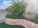 A backyard garden includes a tree and multiple levels with lush green foliage at 6043 Cape Clairmont Ct, North Las Vegas, NV 89031