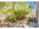 This private backyard features a desert landscape and mature trees at 9022 Sosa Creek Ave, Las Vegas, NV 89149