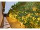Backyard landscaped with lush trees, landscape lighting and stone pathway at 12382 Tudor Arch Dr, Las Vegas, NV 89138